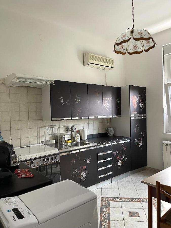 Apartman Alba Apartment Belgrade Exterior photo